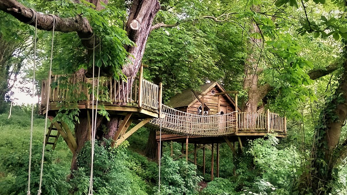 Tree house (Copy)