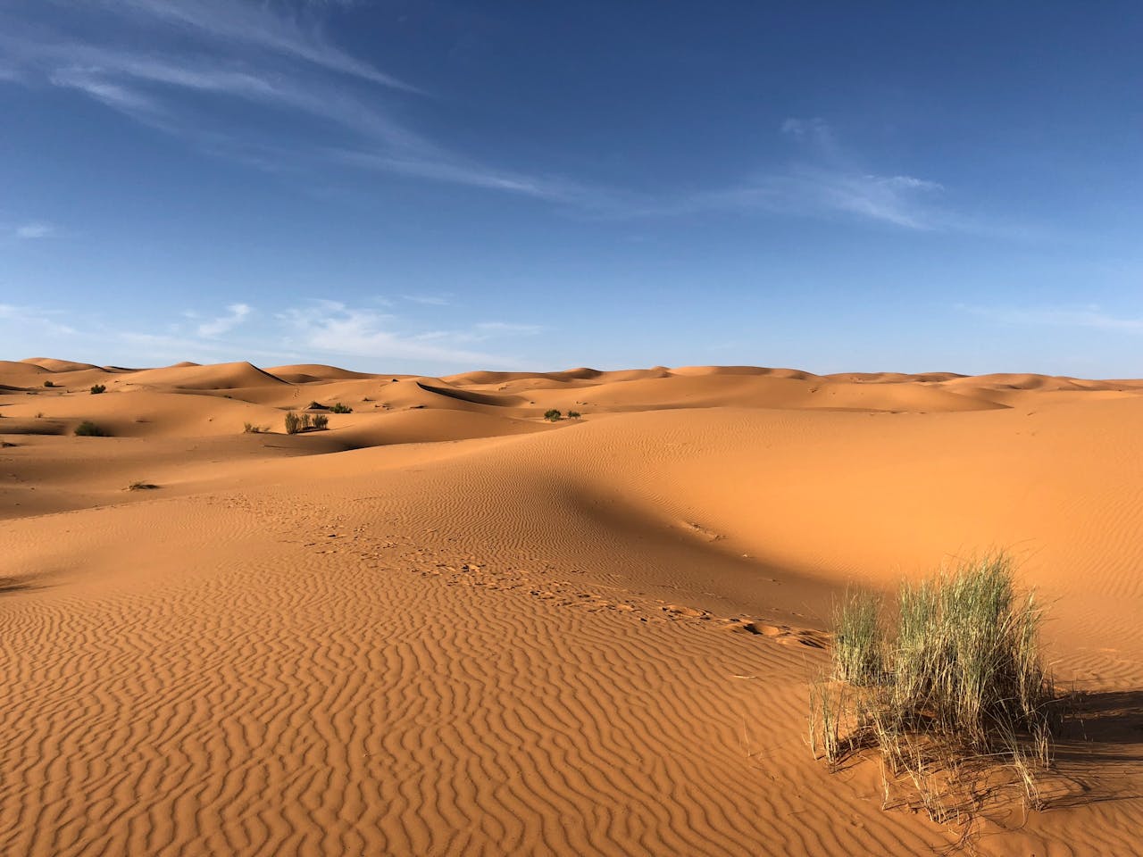 Desert (4)