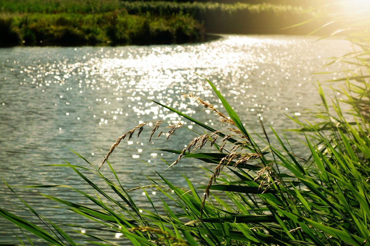 River (8)