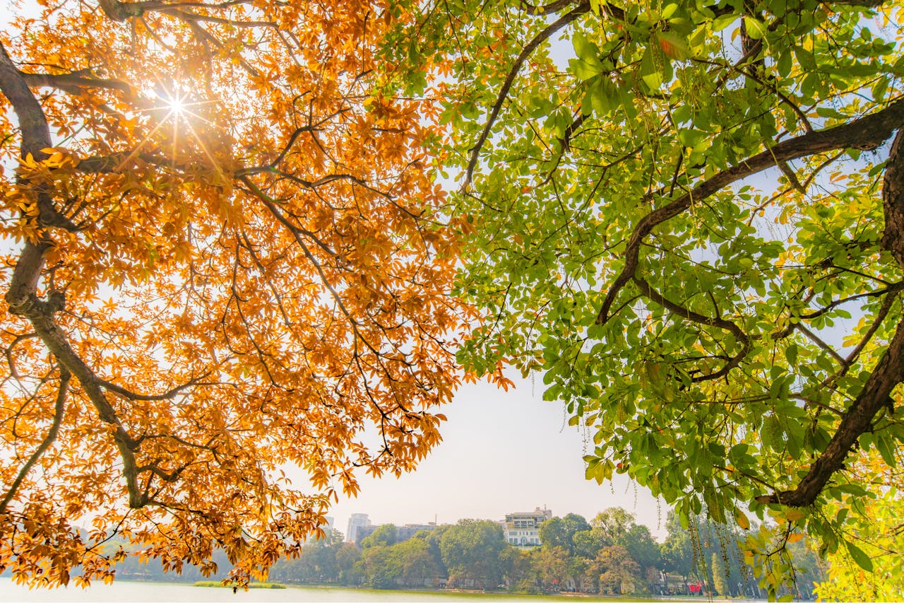 Seasons (1)