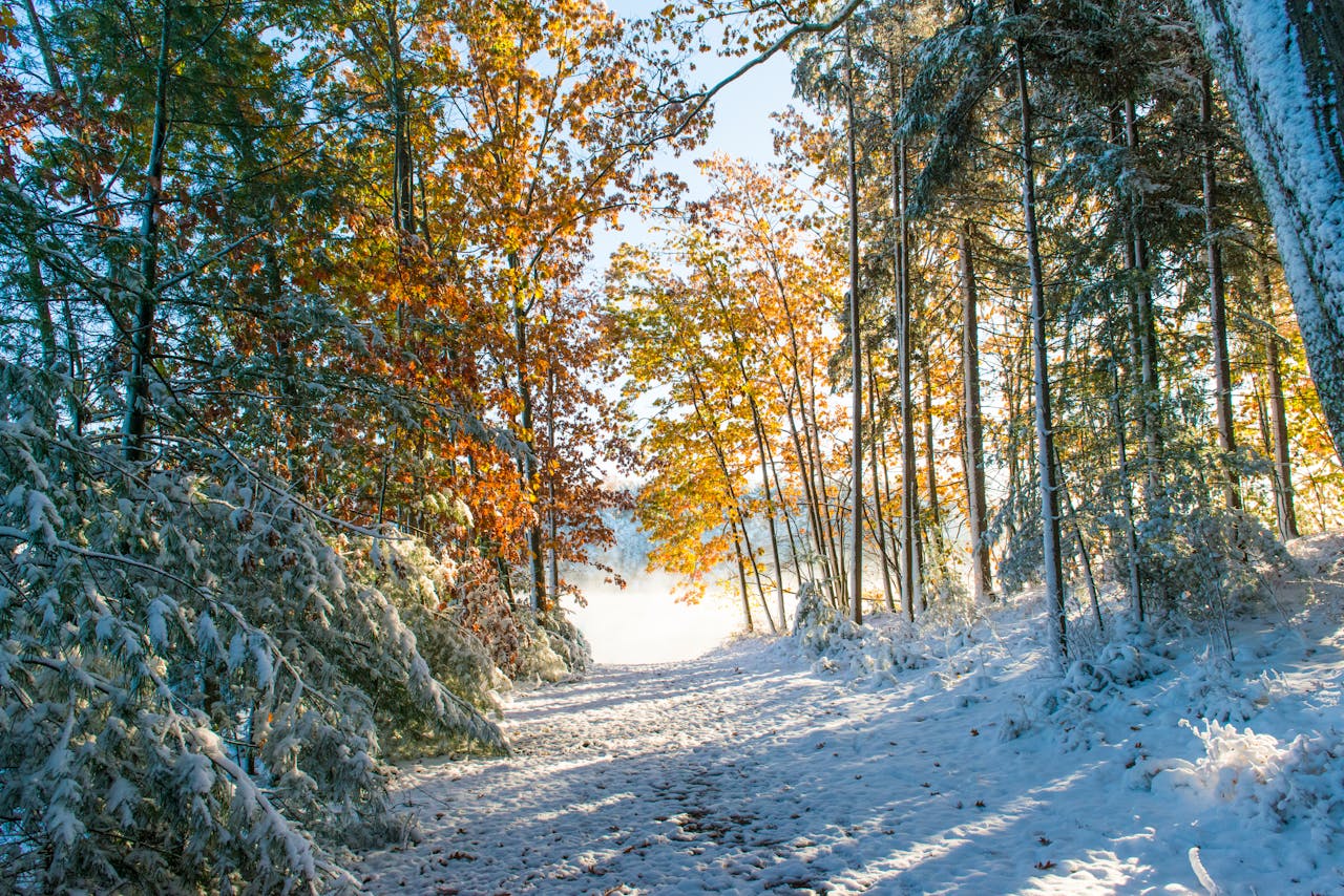 Seasons (3)