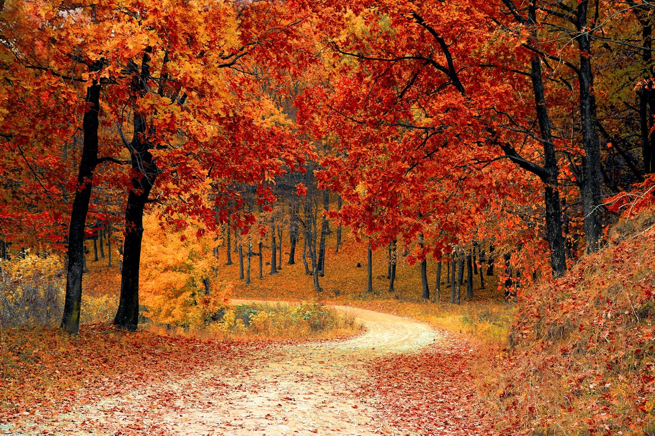 Seasons (4)