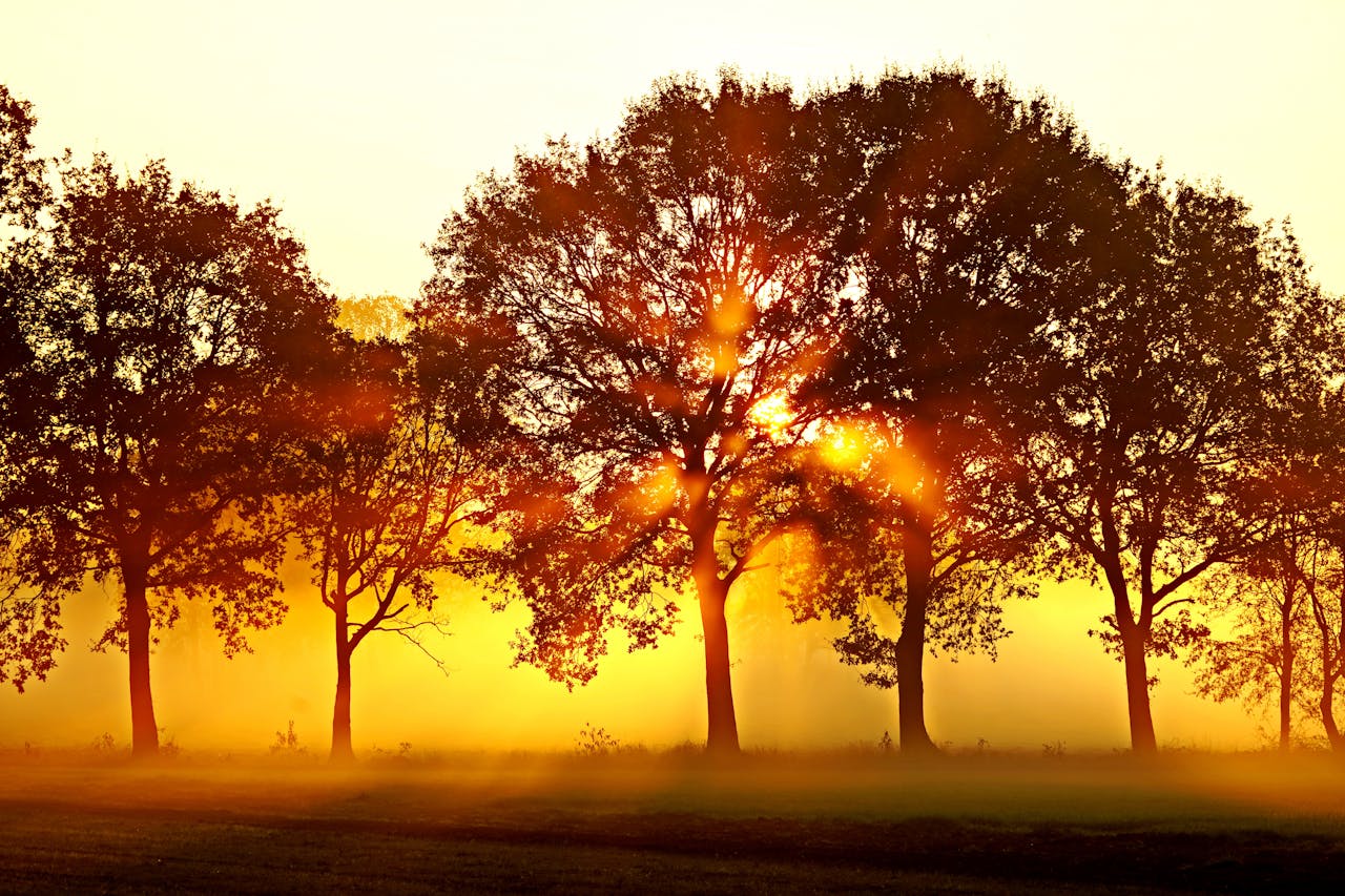 Seasons (6)