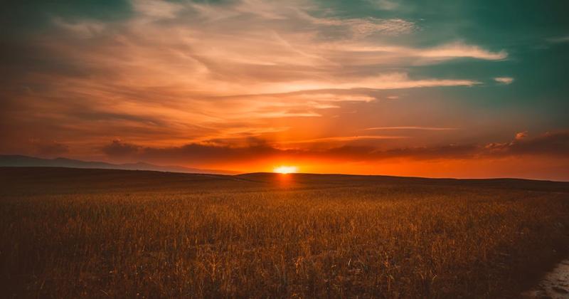 Sunrise and sunset (16)