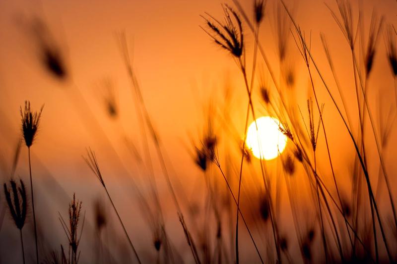 Sunrise and sunset (5)