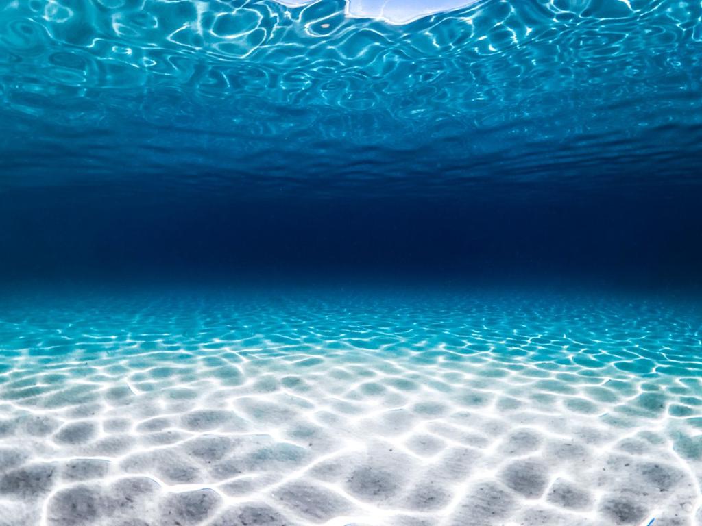 Ocean (7)
